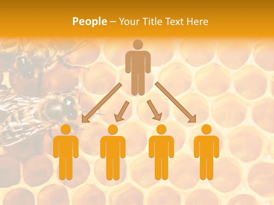 Authority Busy Agility PowerPoint Template