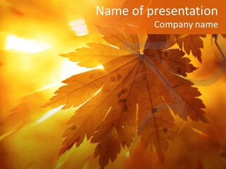 Yellow Red Fall PowerPoint Template