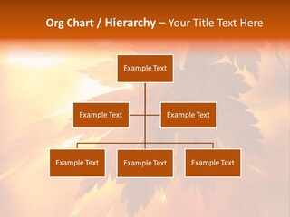 Yellow Red Fall PowerPoint Template