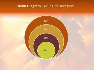 Yellow Red Fall PowerPoint Template