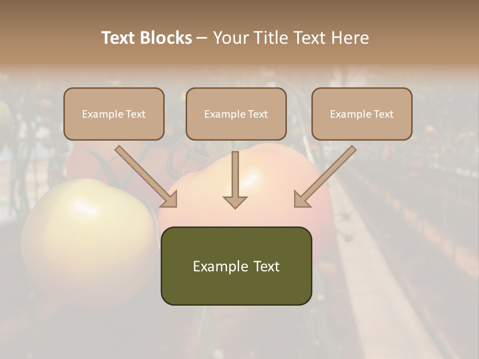 Garden Meal Hothouse PowerPoint Template