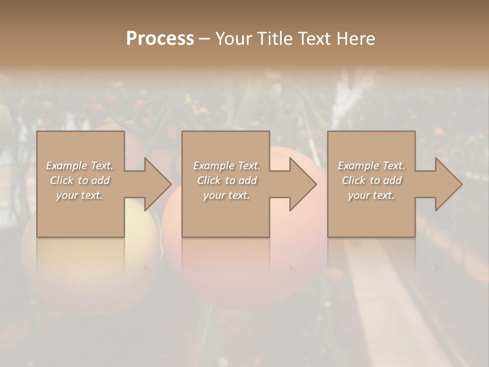 Garden Meal Hothouse PowerPoint Template