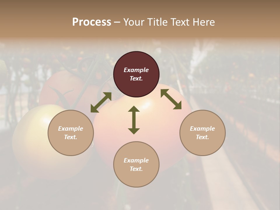 Garden Meal Hothouse PowerPoint Template