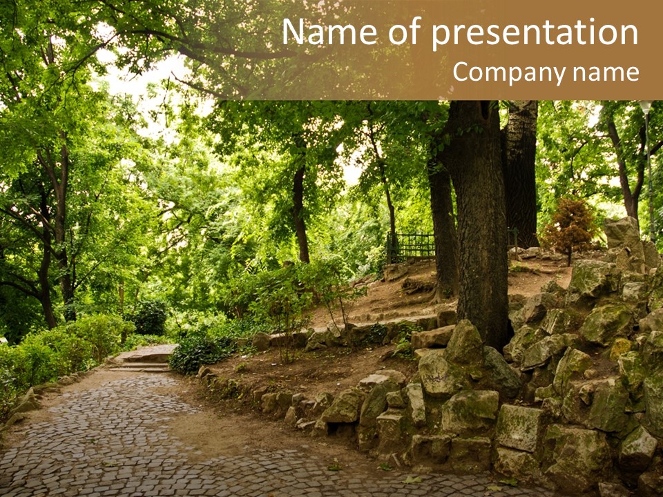 A Stone Path In The Middle Of A Forest PowerPoint Template