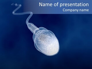 A Computer Mouse With A Blue Background PowerPoint Template