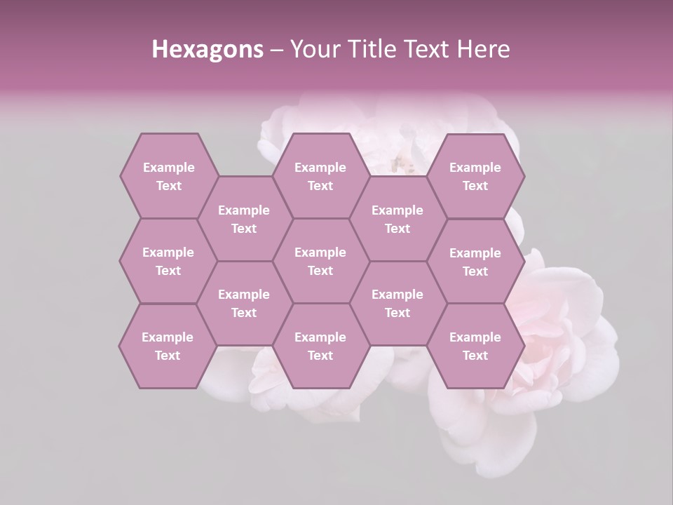 Wild Nature Pink PowerPoint Template