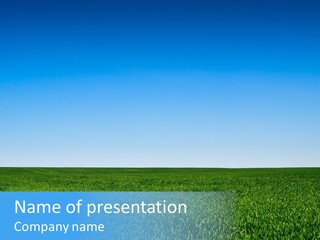 Spring Pasture Sunlight PowerPoint Template