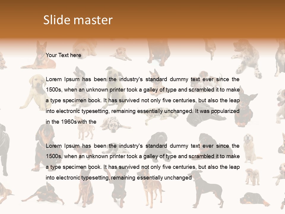 Canario Pinscher English PowerPoint Template