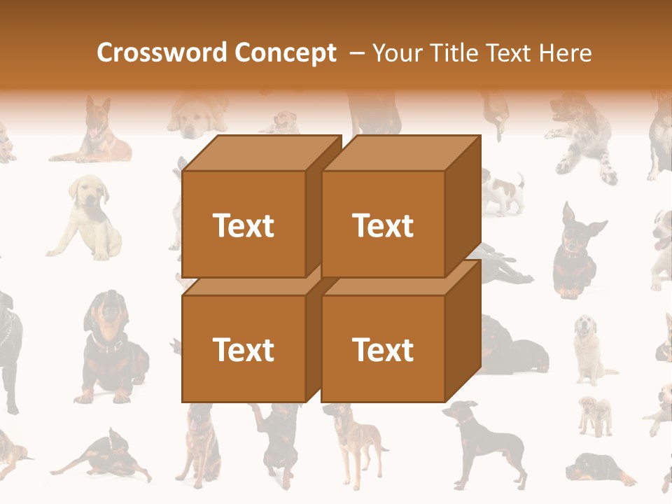 Canario Pinscher English PowerPoint Template