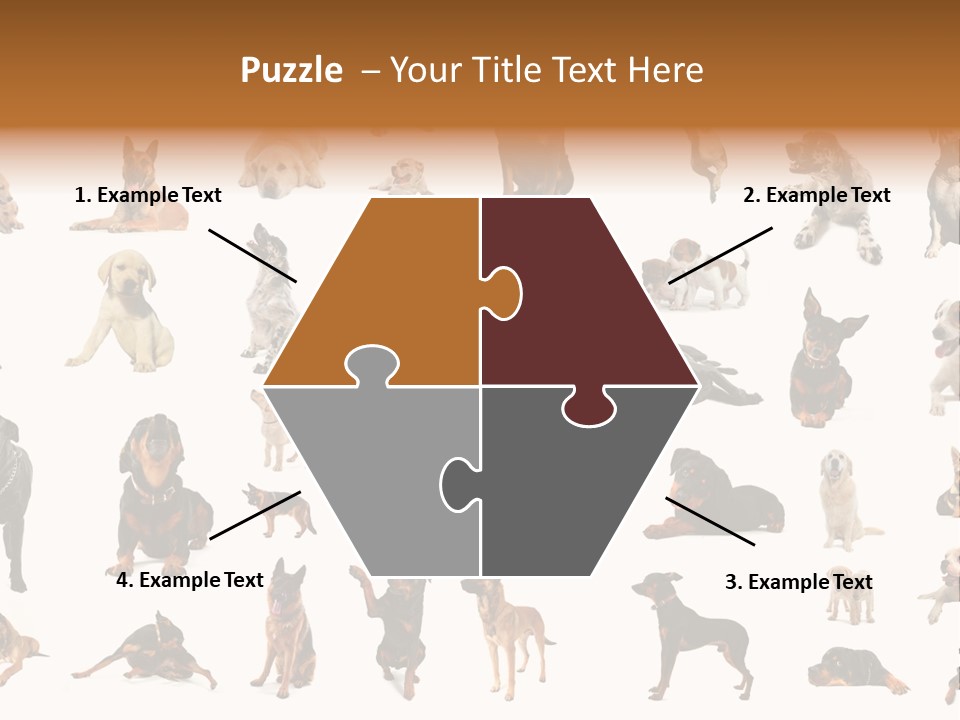 Canario Pinscher English PowerPoint Template