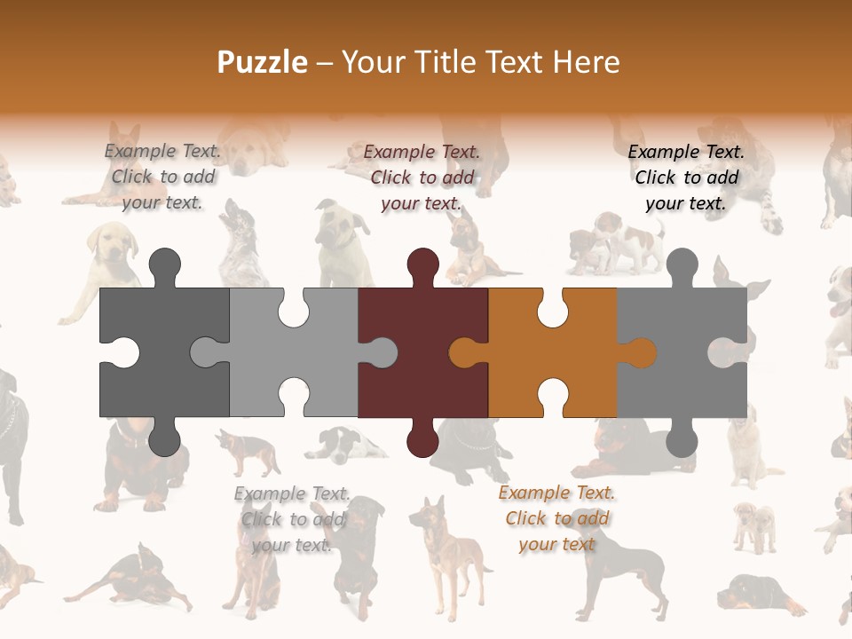 Canario Pinscher English PowerPoint Template