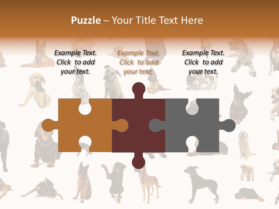 Canario Pinscher English PowerPoint Template