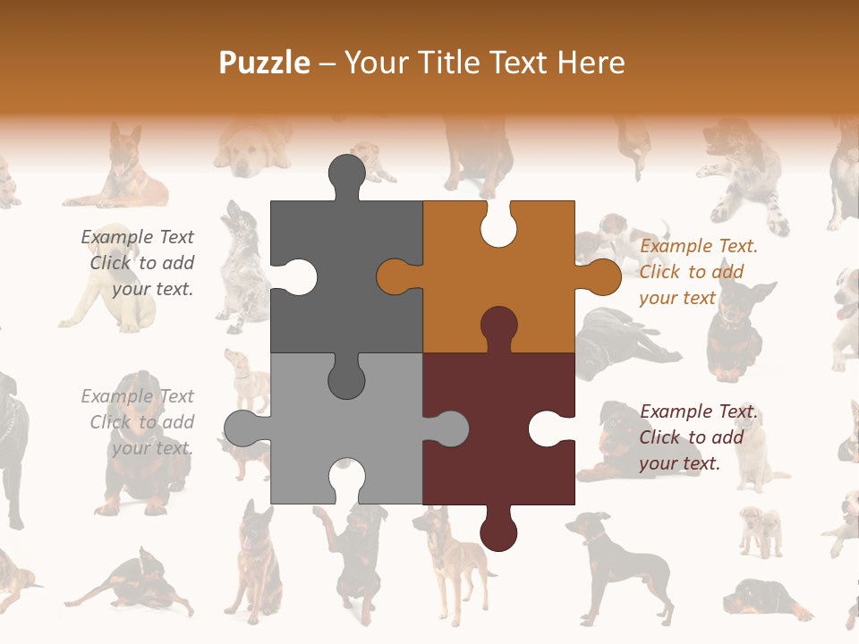 Canario Pinscher English PowerPoint Template