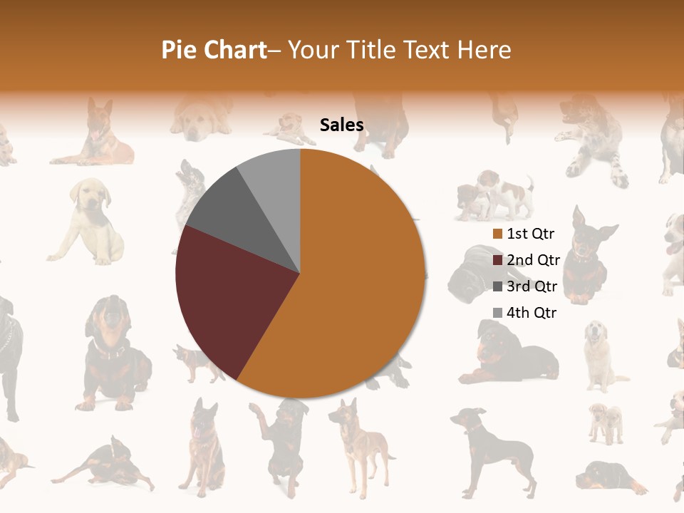 Canario Pinscher English PowerPoint Template