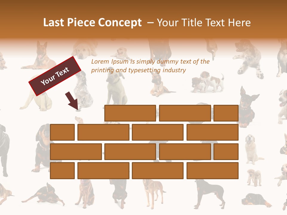 Canario Pinscher English PowerPoint Template