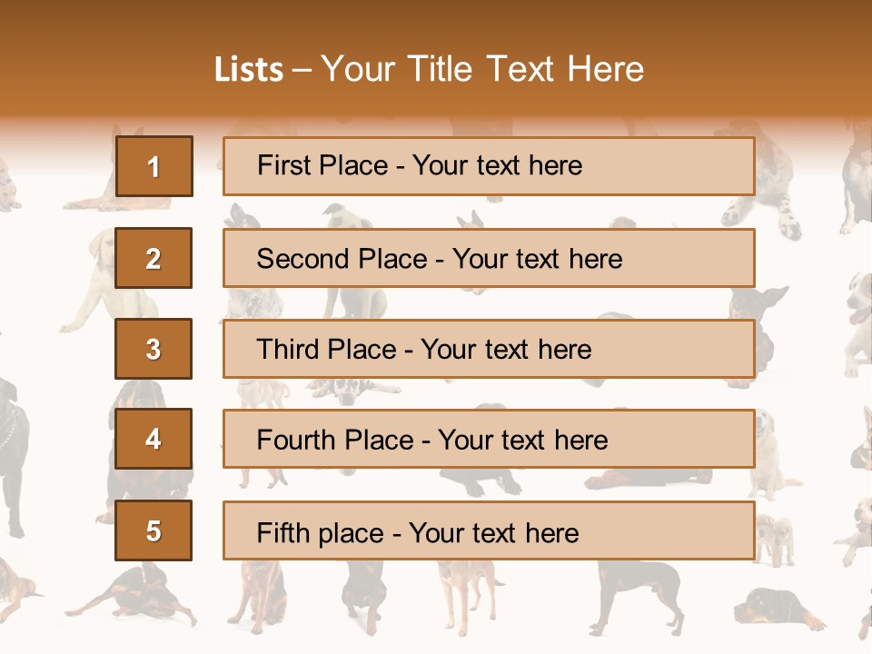 Canario Pinscher English PowerPoint Template