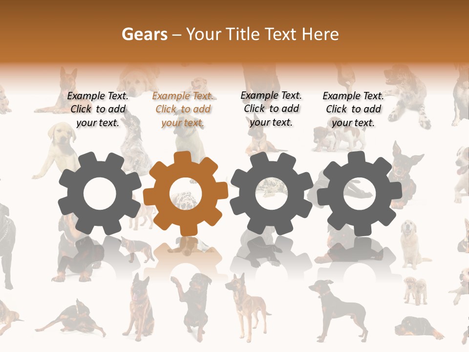 Canario Pinscher English PowerPoint Template