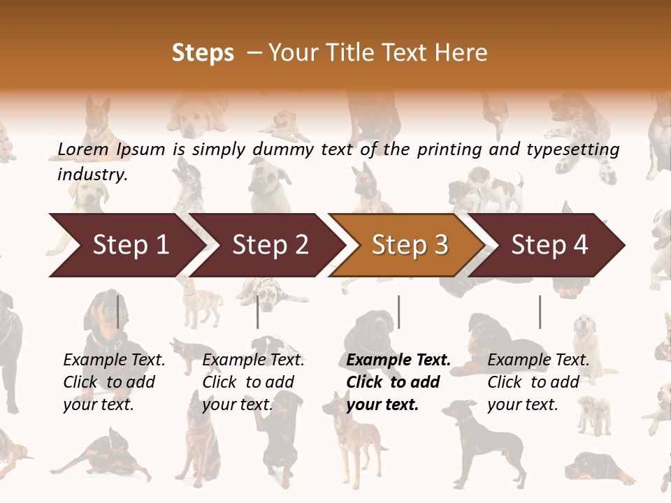 Canario Pinscher English PowerPoint Template