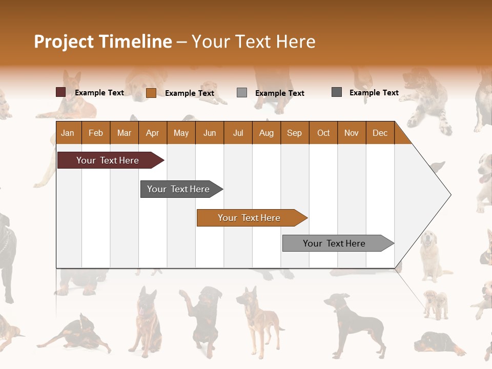 Canario Pinscher English PowerPoint Template