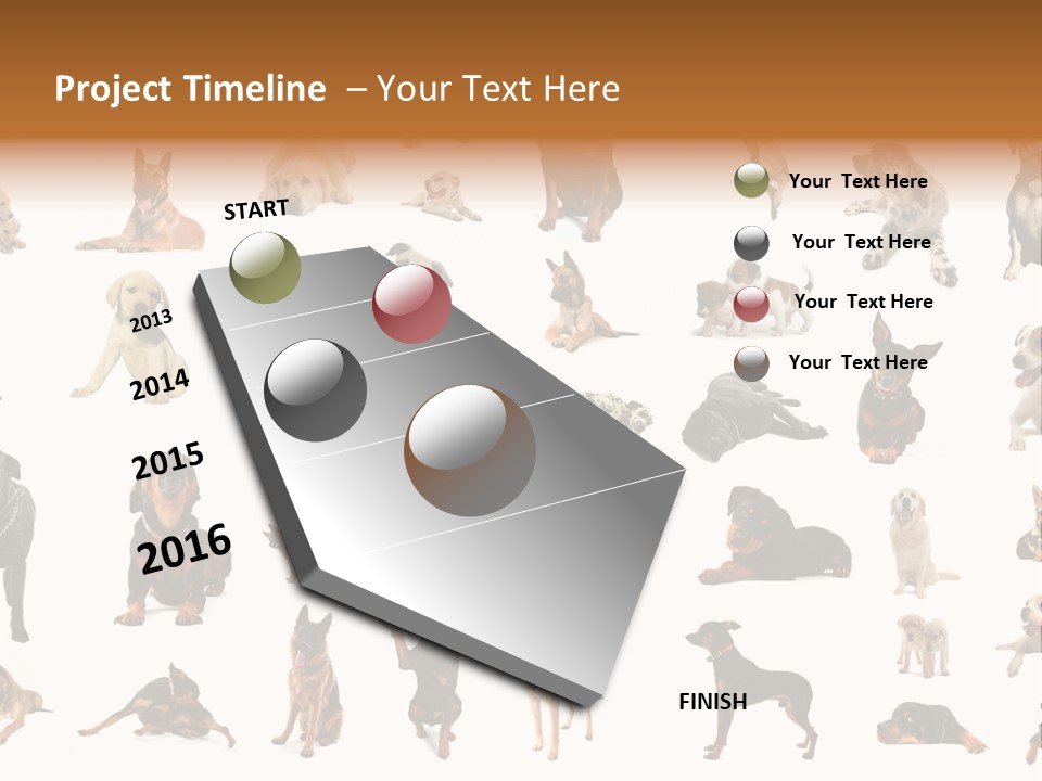 Canario Pinscher English PowerPoint Template