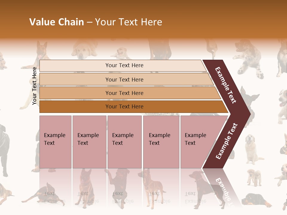 Canario Pinscher English PowerPoint Template