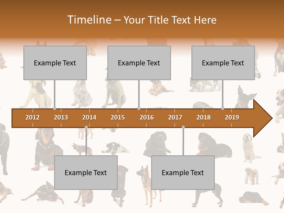 Canario Pinscher English PowerPoint Template