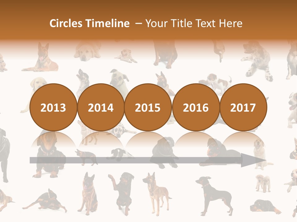 Canario Pinscher English PowerPoint Template