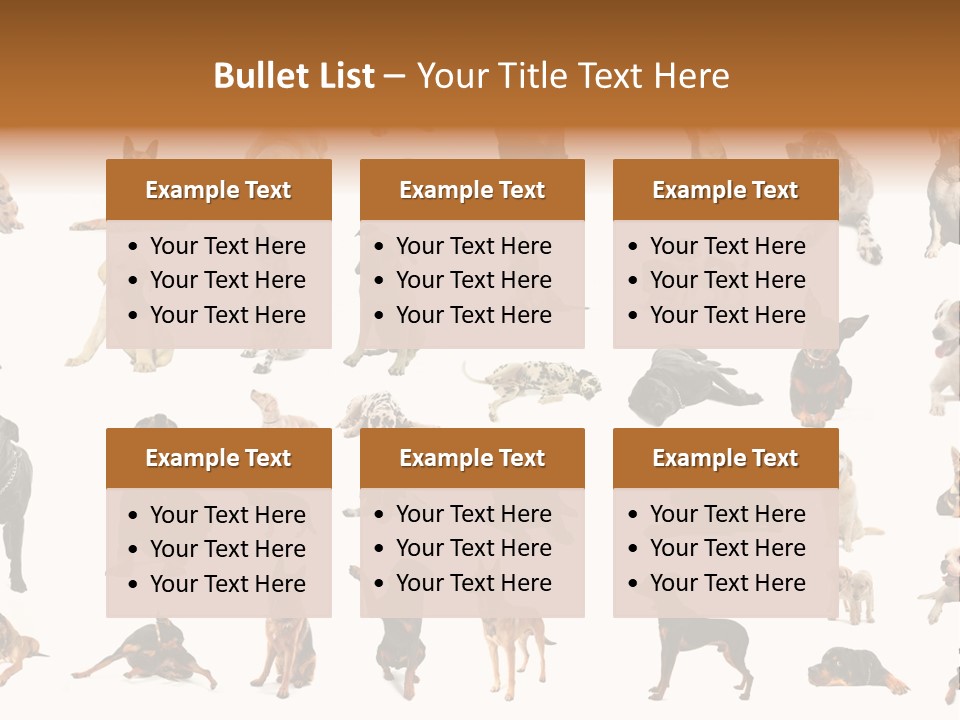 Canario Pinscher English PowerPoint Template