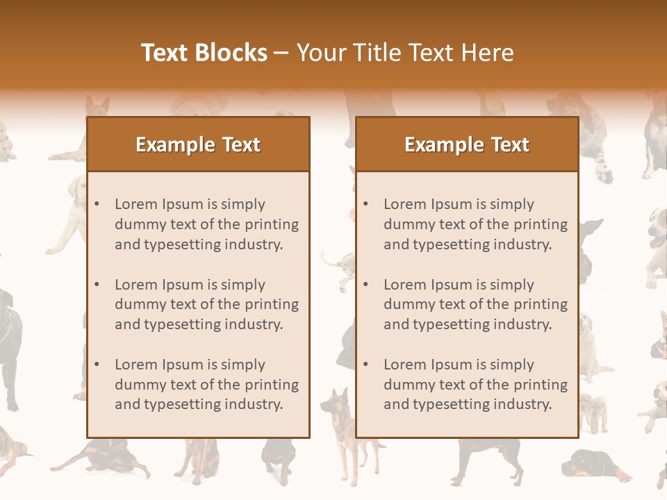 Canario Pinscher English PowerPoint Template