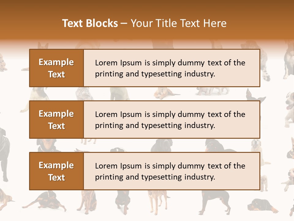 Canario Pinscher English PowerPoint Template