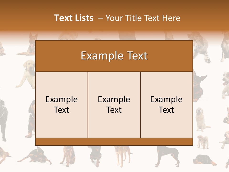 Canario Pinscher English PowerPoint Template