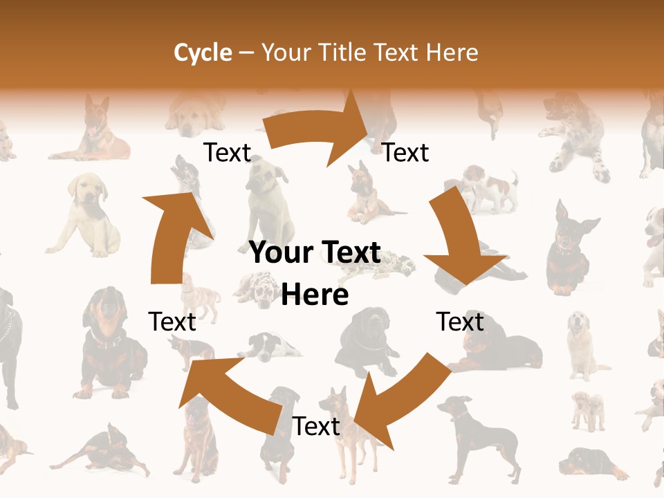 Canario Pinscher English PowerPoint Template