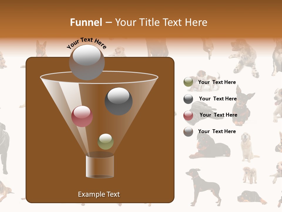 Canario Pinscher English PowerPoint Template