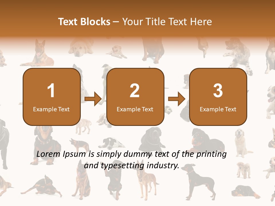 Canario Pinscher English PowerPoint Template