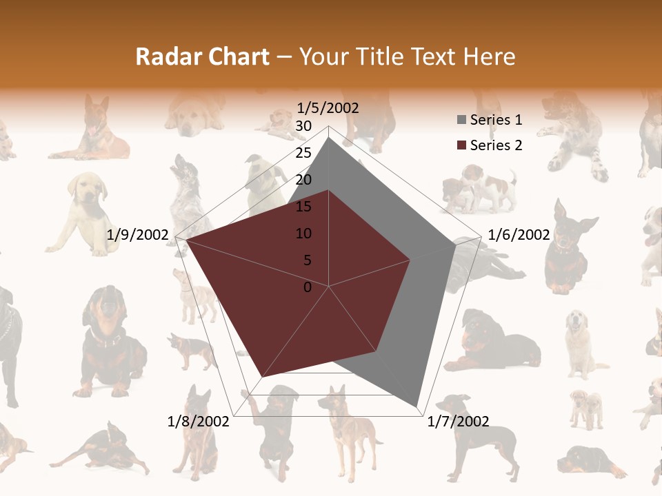 Canario Pinscher English PowerPoint Template