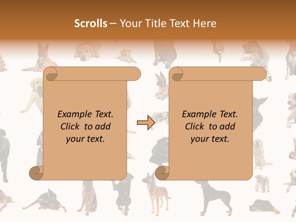 Canario Pinscher English PowerPoint Template