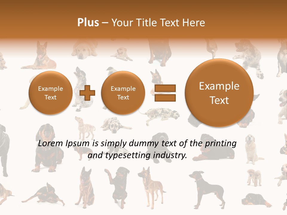 Canario Pinscher English PowerPoint Template