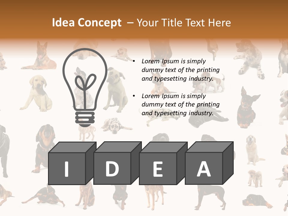 Canario Pinscher English PowerPoint Template