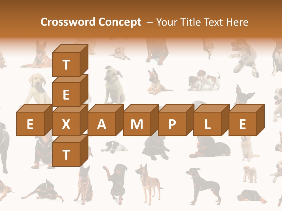 Canario Pinscher English PowerPoint Template