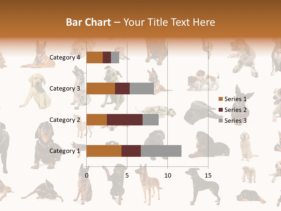 Canario Pinscher English PowerPoint Template