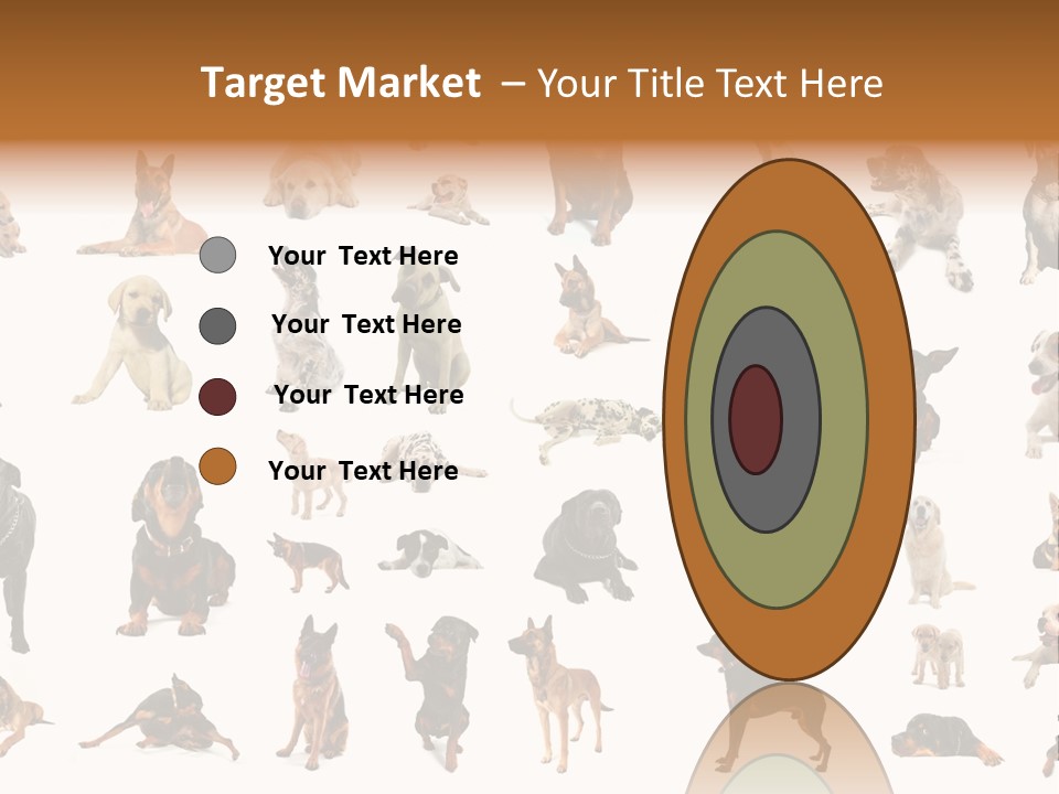 Canario Pinscher English PowerPoint Template