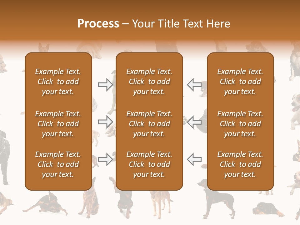 Canario Pinscher English PowerPoint Template