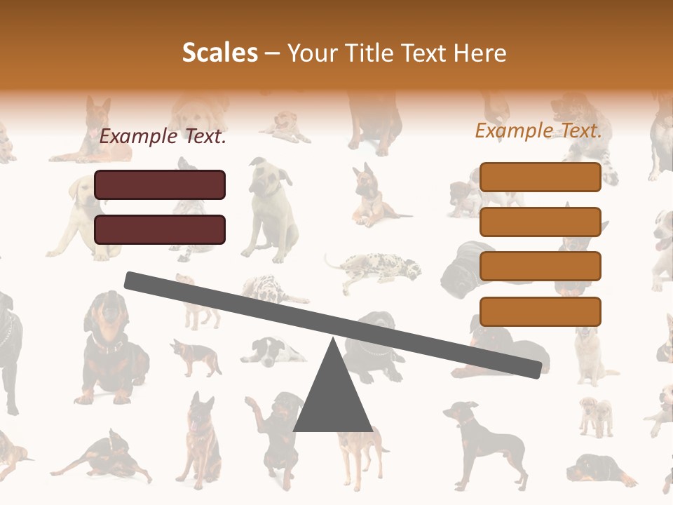 Canario Pinscher English PowerPoint Template