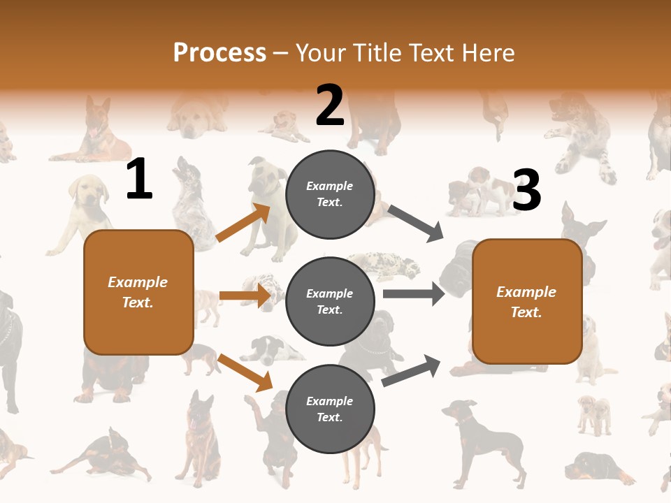 Canario Pinscher English PowerPoint Template