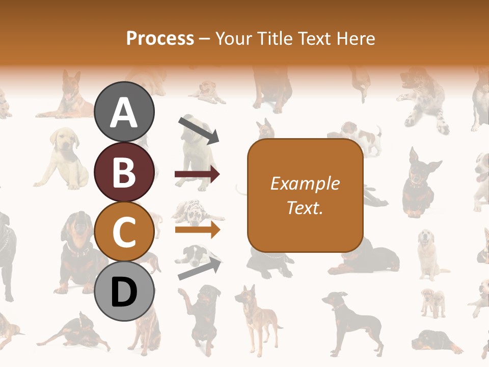 Canario Pinscher English PowerPoint Template