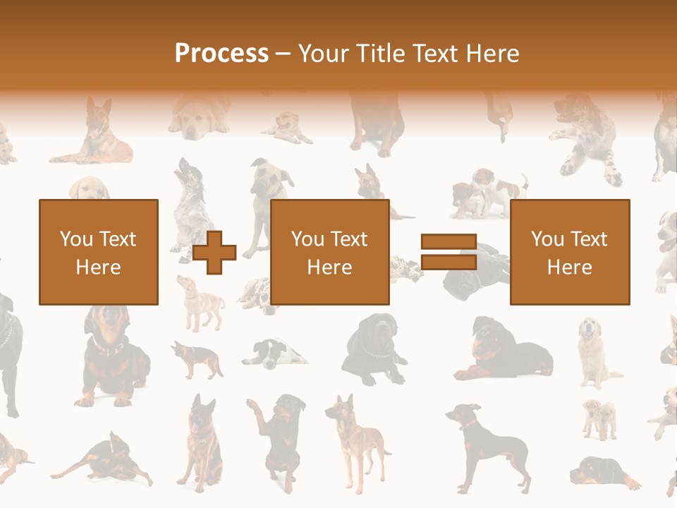 Canario Pinscher English PowerPoint Template