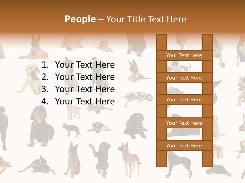 Canario Pinscher English PowerPoint Template
