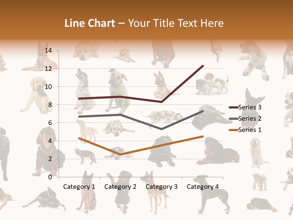 Canario Pinscher English PowerPoint Template