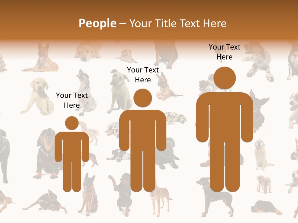 Canario Pinscher English PowerPoint Template