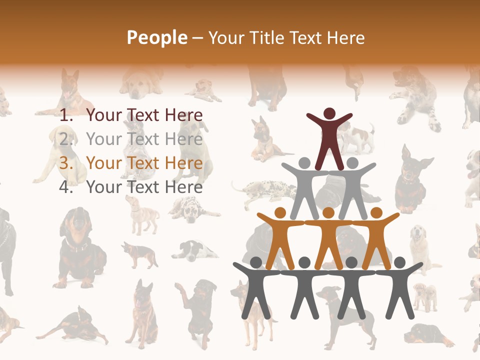 Canario Pinscher English PowerPoint Template